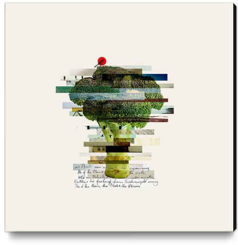 Broccoli Canvas Print by Oleg Borodin