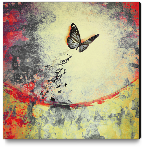 Butterfly I Canvas Print by DejaReve