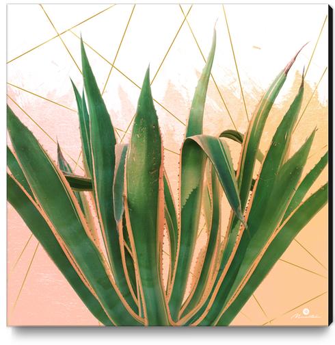 Cactus with geometric Canvas Print by mmartabc