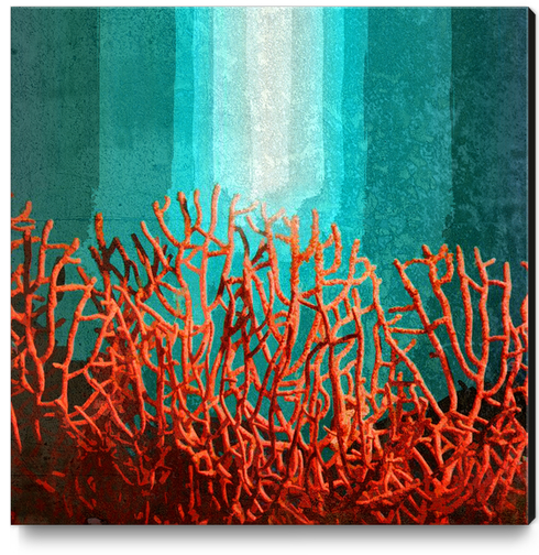 Red Coral Canvas Print by Malixx