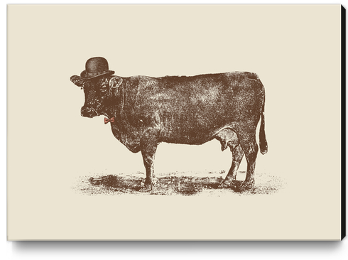 Cow Cow Nut Canvas Print by Florent Bodart - Speakerine