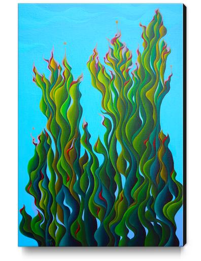 Cypressing a Wave Canvas Print by Amy Ferrari Art