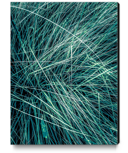 green grass texture abstract background Canvas Print by Timmy333