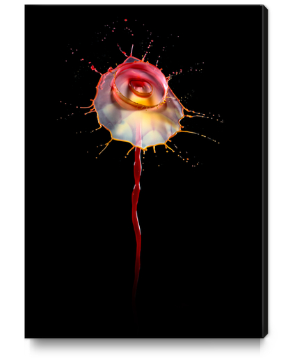 Water Rose Canvas Print by Jarek Blaminsky