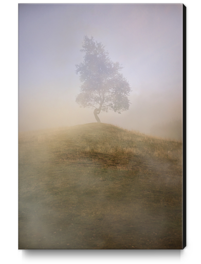 Loneliness at foggy dawn Canvas Print by Jarek Blaminsky