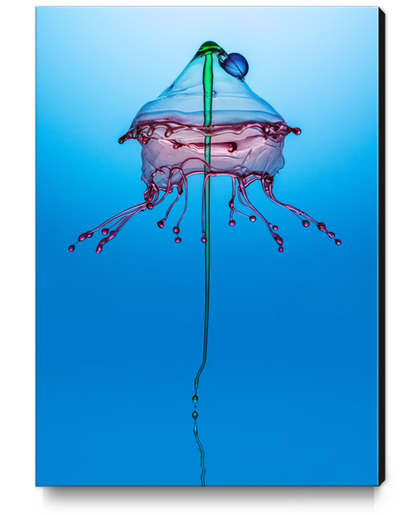 Medusa Canvas Print by Jarek Blaminsky
