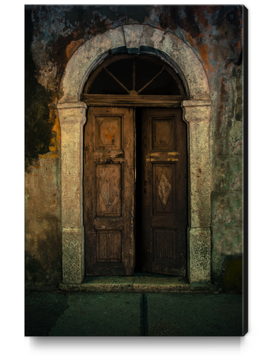 Old wooden doors and nice arch Canvas Print by Jarek Blaminsky