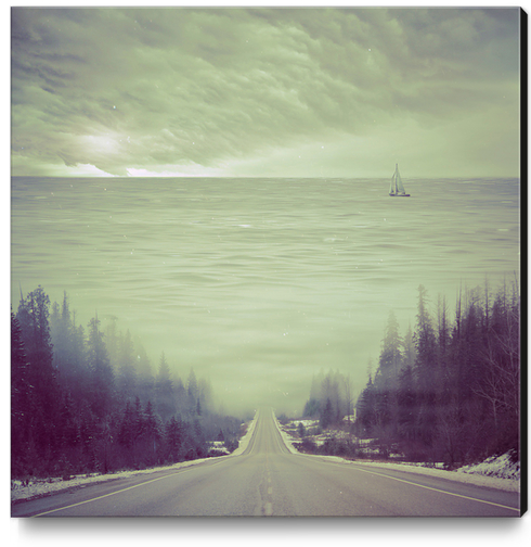 Dupcism Canvas Print by Eugene Soloviev