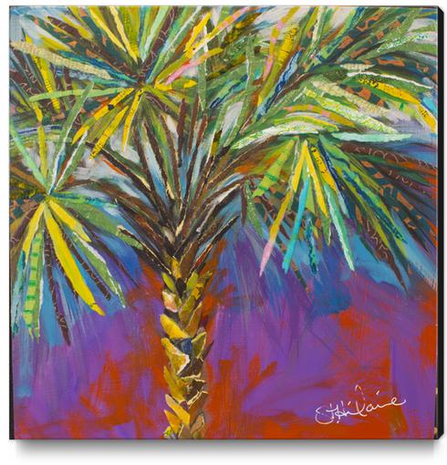 River Palm Canvas Print by Elizabeth St. Hilaire
