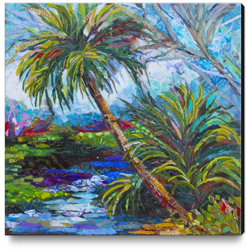Wekiva River Palms Canvas Print by Elizabeth St. Hilaire