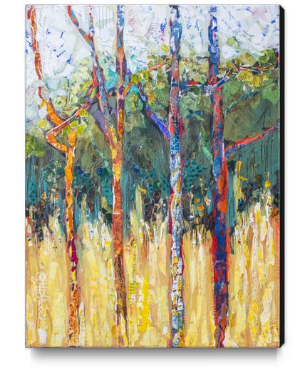 Tree Family Canvas Print by Elizabeth St. Hilaire