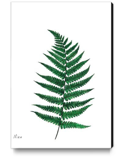 Fern Canvas Print by Nika_Akin