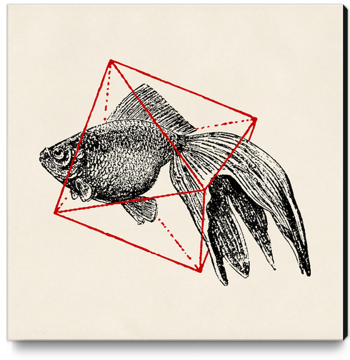 Fish In Geometrics III Canvas Print by Florent Bodart - Speakerine