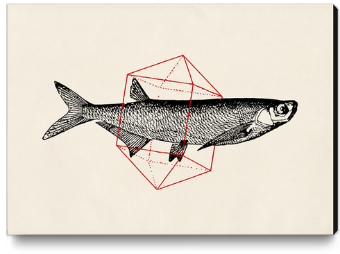 Fish In Geometrics II Canvas Print by Florent Bodart - Speakerine