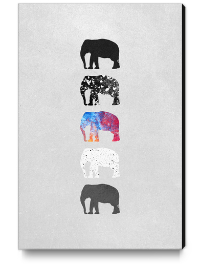 Five elephants Canvas Print by Elisabeth Fredriksson