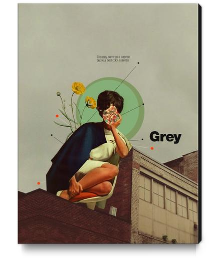 Grey Canvas Print by Frank Moth