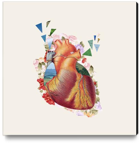 Heart Canvas Print by Oleg Borodin