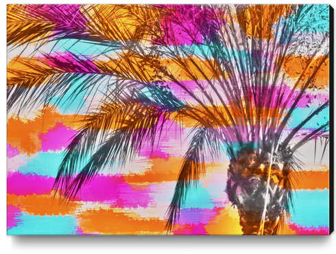 palm tree with colorful painting abstract background in pink orange blue Canvas Print by Timmy333