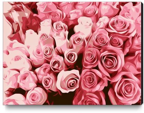 fresh pink roses texture background Canvas Print by Timmy333