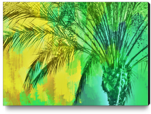 palm tree with green and yellow painting texture abstract background Canvas Print by Timmy333