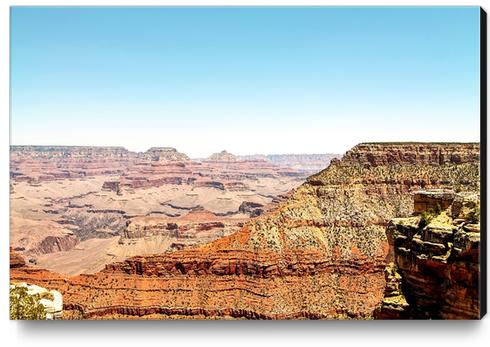 at Grand Canyon national park, USA Canvas Print by Timmy333