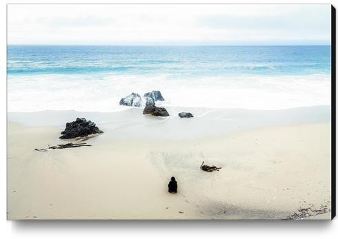 beach and sand with blue sky Canvas Print by Timmy333