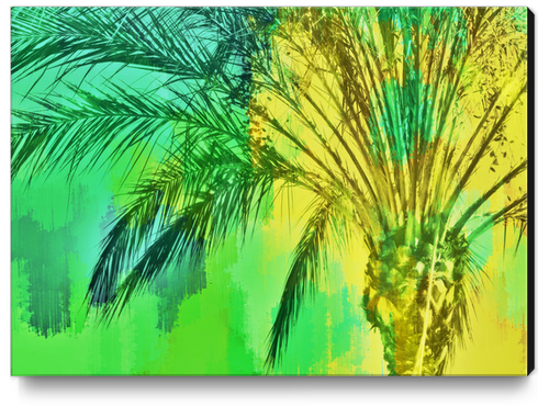 isolate palm tree with painting abstract background in green yellow Canvas Print by Timmy333