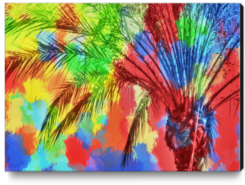isolate palm tree with painting abstract background in red blue green yellow Canvas Print by Timmy333