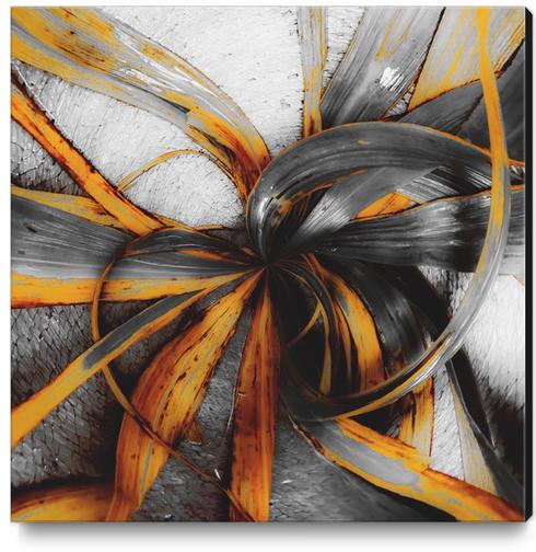 spiral leaves texture abstract background Canvas Print by Timmy333