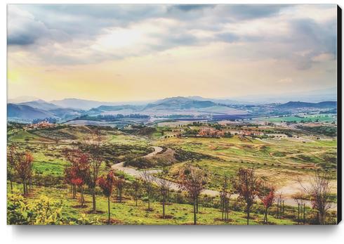 summer sunlight with cloudy sky and rural view Canvas Print by Timmy333