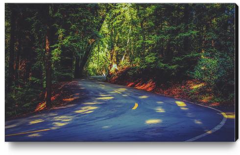 Road to nature on Highway 1, California, USA Canvas Print by Timmy333