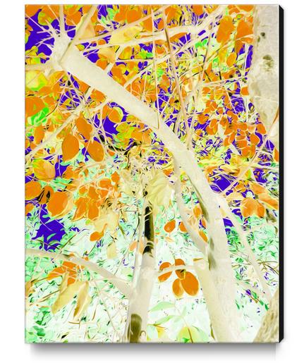 drawing tree with orange leaves and purple background Canvas Print by Timmy333