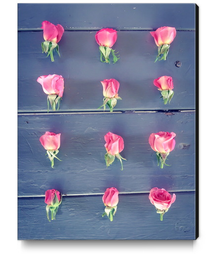 pink baby roses on the wooden table Canvas Print by Timmy333