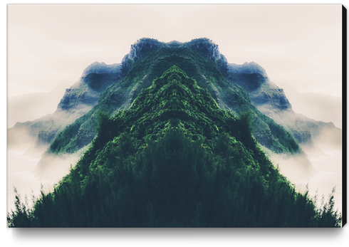 beautiful green mountain in the foggy day Canvas Print by Timmy333