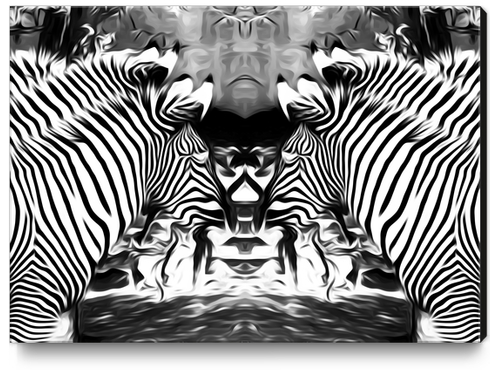zebras in black and white Canvas Print by Timmy333
