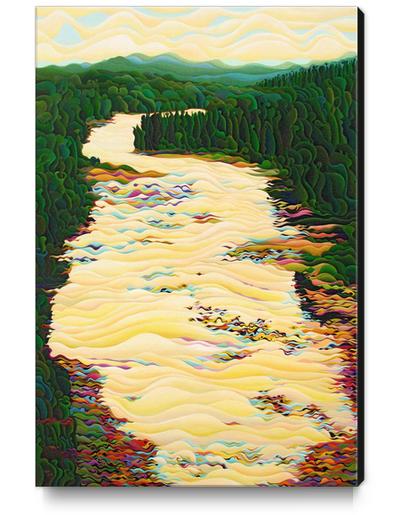 Kakabeca River Dance Canvas Print by Amy Ferrari Art