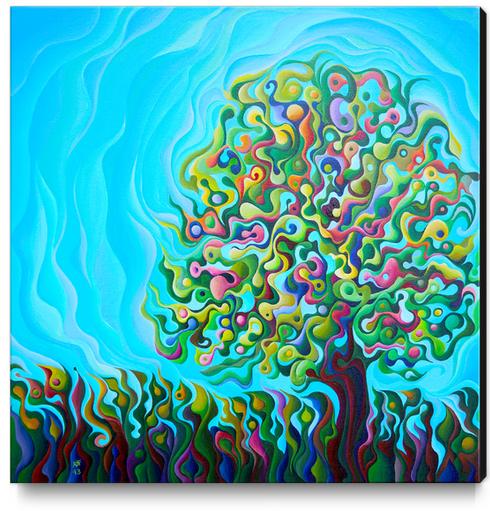 Mid-Summer Tree Breath Canvas Print by Amy Ferrari Art