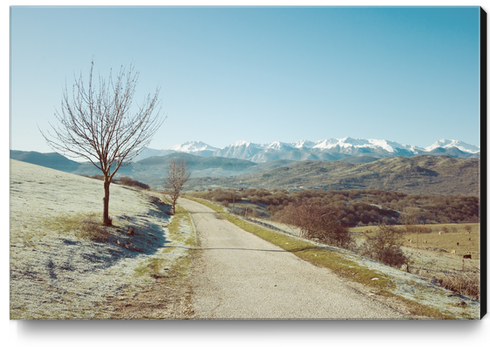 Mountains in the background I Canvas Print by Salvatore Russolillo