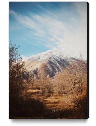 Mountains in the background XVI Canvas Print by Salvatore Russolillo