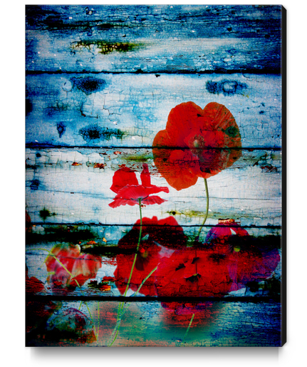 Poppies on blue I. Canvas Print by Irena Orlov