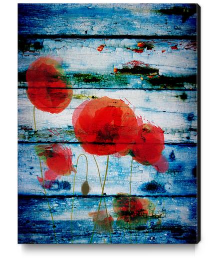 Poppies on Blue II Canvas Print by Irena Orlov