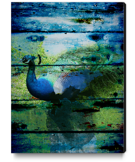  Peacock I  Canvas Print by Irena Orlov