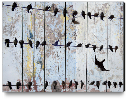 Spring Birds Canvas Print by Irena Orlov