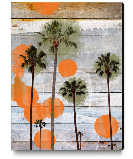 California, Irena Orlov Canvas Print by Irena Orlov