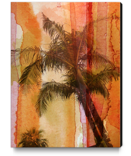 Palm Tree Canvas Print by Irena Orlov