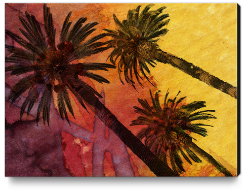 Los Angeles Palms. Canvas Print by Irena Orlov