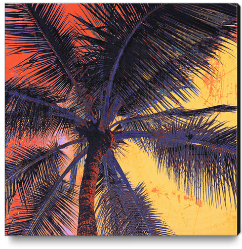  Palm Tree Sunset Canvas Print by Irena Orlov