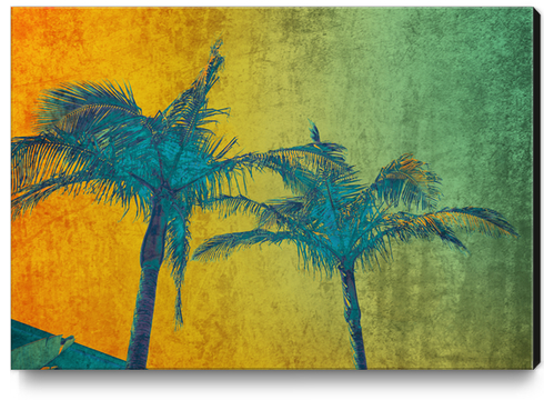 Palm Duet Canvas Print by Irena Orlov