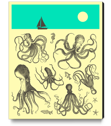 OCTOPODES Canvas Print by Jazzberry Blue