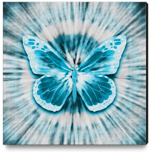 Rising Butterfly Canvas Print by Octavia Soldani